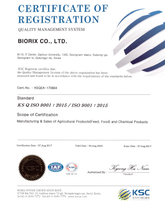 ISO 9001