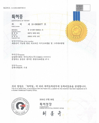 Patent(10-0908877)