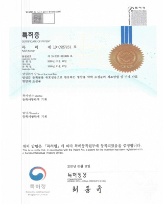 Patent(10-0927251)